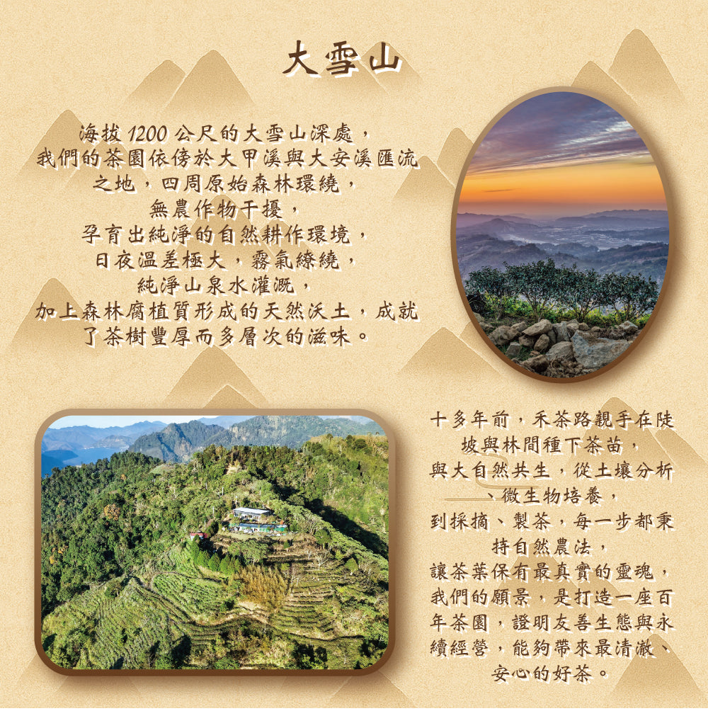 大雪山森林白茶 世界茶葉大賽銀獎 Ho'Te'Ro' 禾茶路