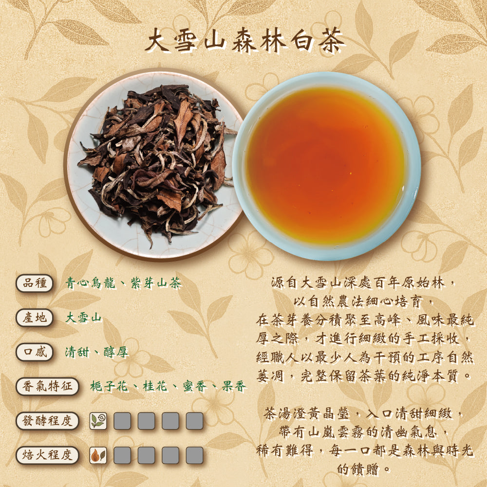 大雪山森林白茶 世界茶葉大賽銀獎 Ho'Te'Ro' 禾茶路